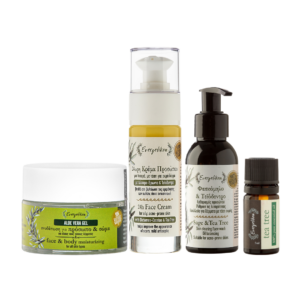 Rinkinys riebiai, spuoguotai veido odai